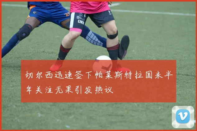 切尔西迅速签下帕莱斯特拉国米半年关注无果引发热议