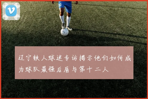 辽宁铁人球迷专访揭示他们如何成为球队最强后盾与第十二人
